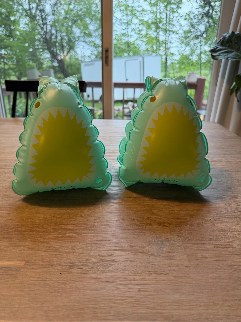 SUNNYLiFE| Kids Shark Float Arm Bands - Mint Green and Yellow | 18-30kg